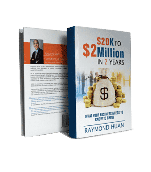 Grow Your Business 20k to 2 Million Ebook
